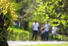 果冻传媒在线播放免费-免费观影新体验，果冻传媒在线播放的魅力探索