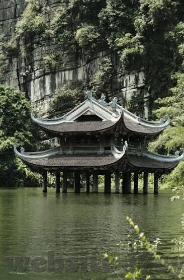 黄台app软件下载糖心-解锁生活新视角，黄台app软件下载与糖心体验探索