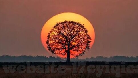 精品欧美一区二区在线观看-探索欧美影视的魅力，精品一区二区在线观看的多元体验