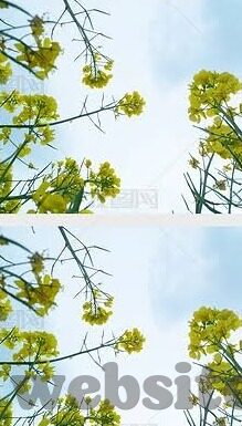 麻豆,传媒-麻豆与传媒在文化传承中的交织画卷