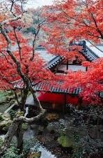 麻豆传媒视频app免费-寻找观影新体验，解锁麻豆传媒视频app的免费秘密