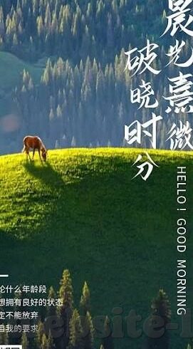 麻豆视频传媒在线观看-数字化时代下的内容消费新趋势