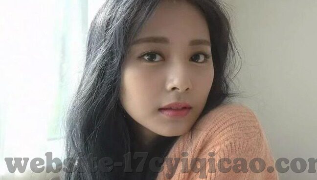 糖心vlog官网入口破解-尝鲜与危险，揭密糖心Vlog网站不正当入口的潜在风险