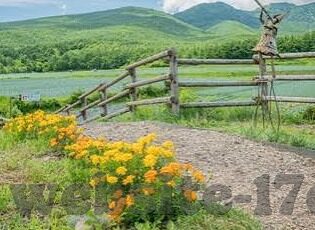 糖心vlog靠谱吗-糖心Vlog，真实生活的趣味视角