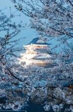 最新伦理2018中文字幕-最新伦理2018，中文字幕下的社会镜像与道德反思